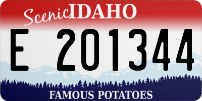 ID license plate E201344