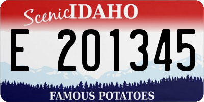 ID license plate E201345