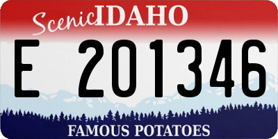 ID license plate E201346