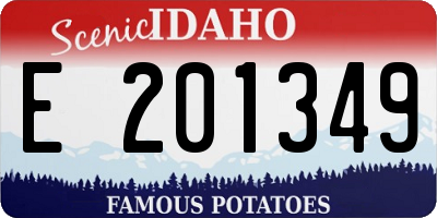 ID license plate E201349
