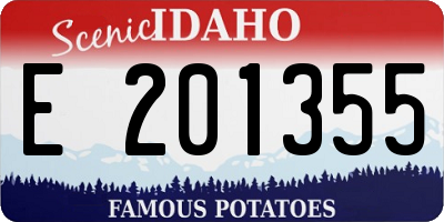 ID license plate E201355