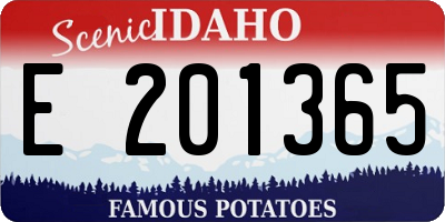 ID license plate E201365