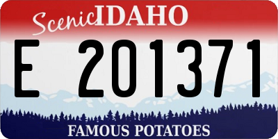 ID license plate E201371