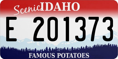 ID license plate E201373