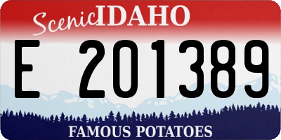 ID license plate E201389