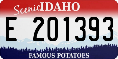 ID license plate E201393