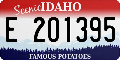 ID license plate E201395