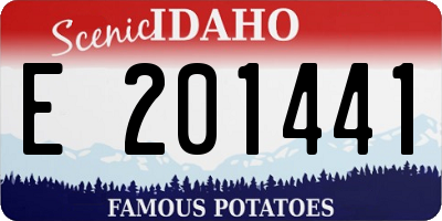 ID license plate E201441