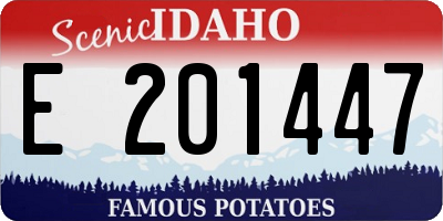 ID license plate E201447