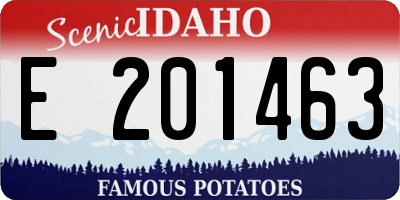 ID license plate E201463