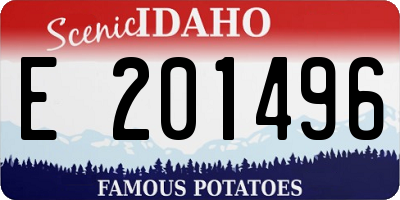 ID license plate E201496