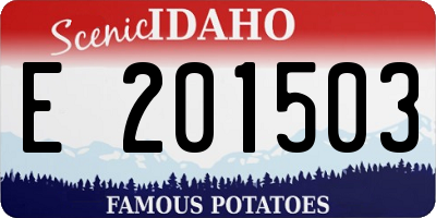 ID license plate E201503