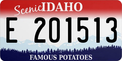 ID license plate E201513