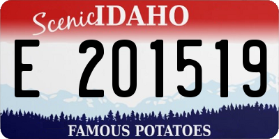 ID license plate E201519