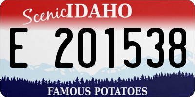 ID license plate E201538