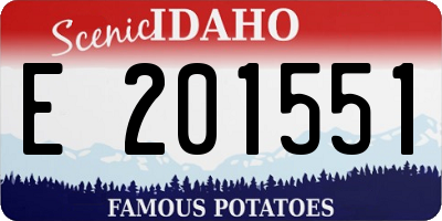 ID license plate E201551