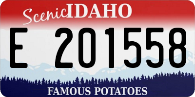 ID license plate E201558