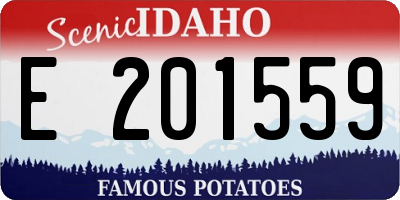 ID license plate E201559