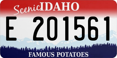 ID license plate E201561