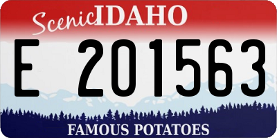 ID license plate E201563
