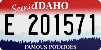ID license plate E201571