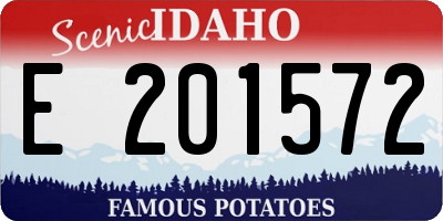 ID license plate E201572