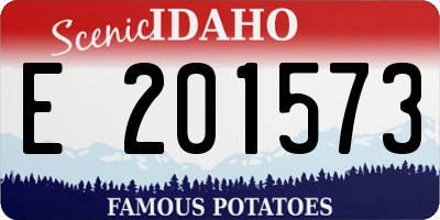 ID license plate E201573