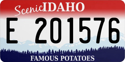 ID license plate E201576