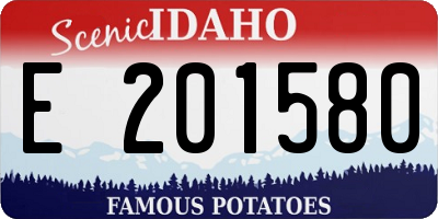 ID license plate E201580
