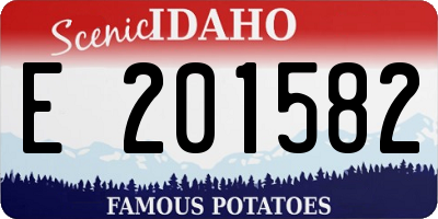 ID license plate E201582