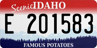 ID license plate E201583