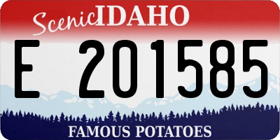 ID license plate E201585