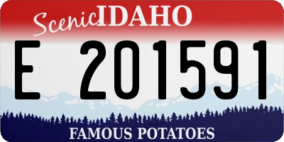 ID license plate E201591