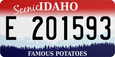 ID license plate E201593