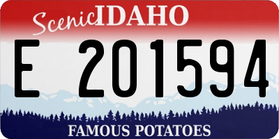 ID license plate E201594