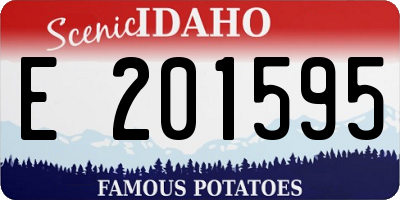 ID license plate E201595