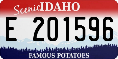 ID license plate E201596