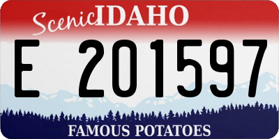 ID license plate E201597