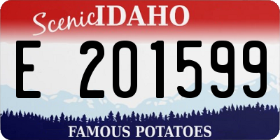 ID license plate E201599