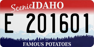 ID license plate E201601