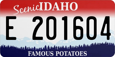 ID license plate E201604