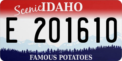 ID license plate E201610
