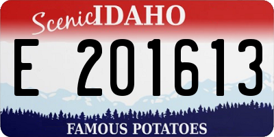 ID license plate E201613