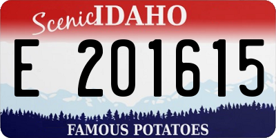 ID license plate E201615