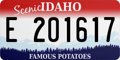 ID license plate E201617