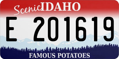ID license plate E201619
