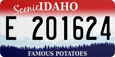 ID license plate E201624
