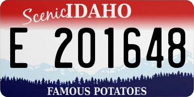 ID license plate E201648