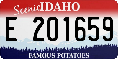 ID license plate E201659
