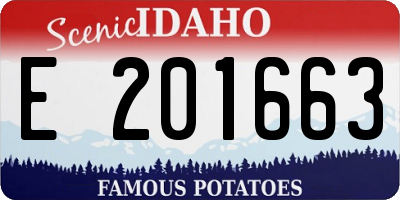 ID license plate E201663